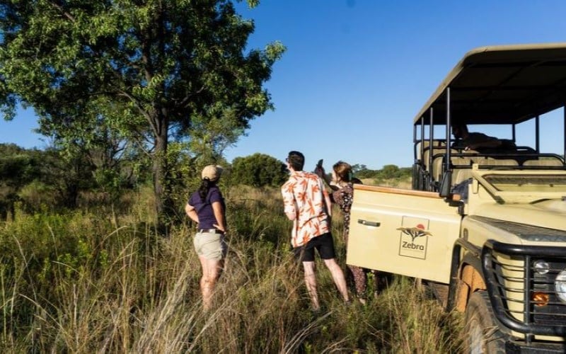 Game drive
